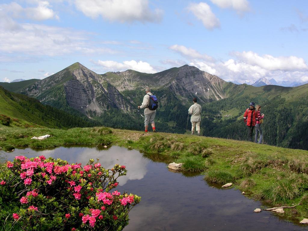 Ferienhaeuser Familie Hofer Stockenboi Weissensee Exterior foto